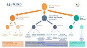 Abre documento en PDF con esquema en organigrama sobre defensa legal ante la falta de accesibilidad